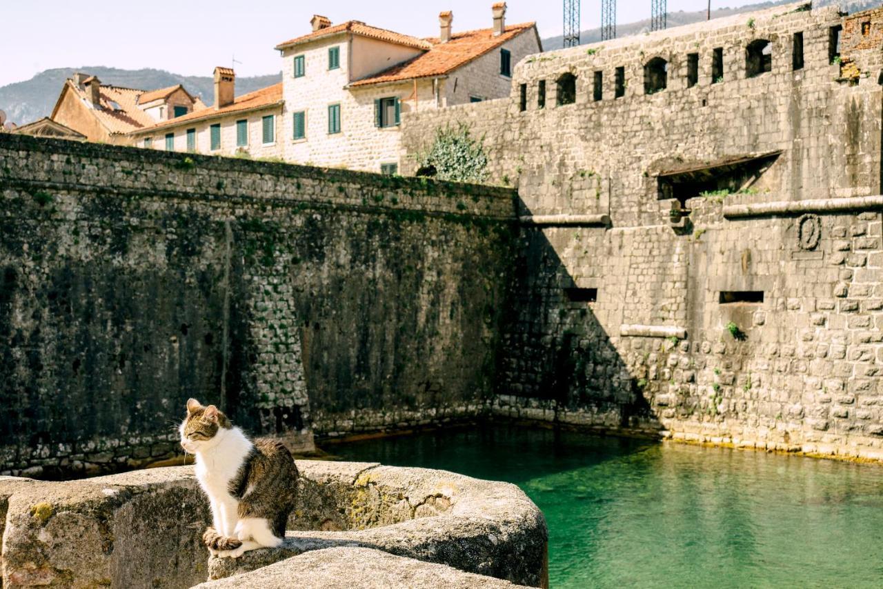 D & Sons Apartments Kotor Exterior foto